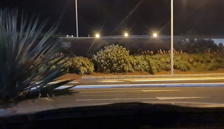 Bordillo contra el que chocó el vehículo Bordillo contra el que chocó el vehículo