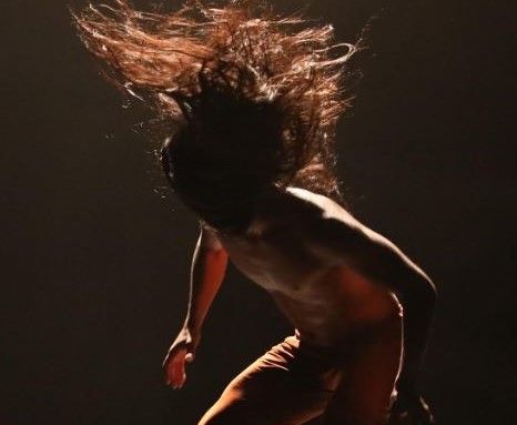 La danza regresa al Teatro el Salinero con el espectáculo “Insecto Primitivo”