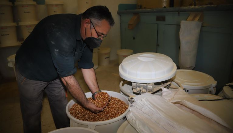El grano utilizado para hacer gofio en La Molina de Jose Maria Gil. El grano utilizado para hacer gofio en La Molina de Jose Maria Gil.