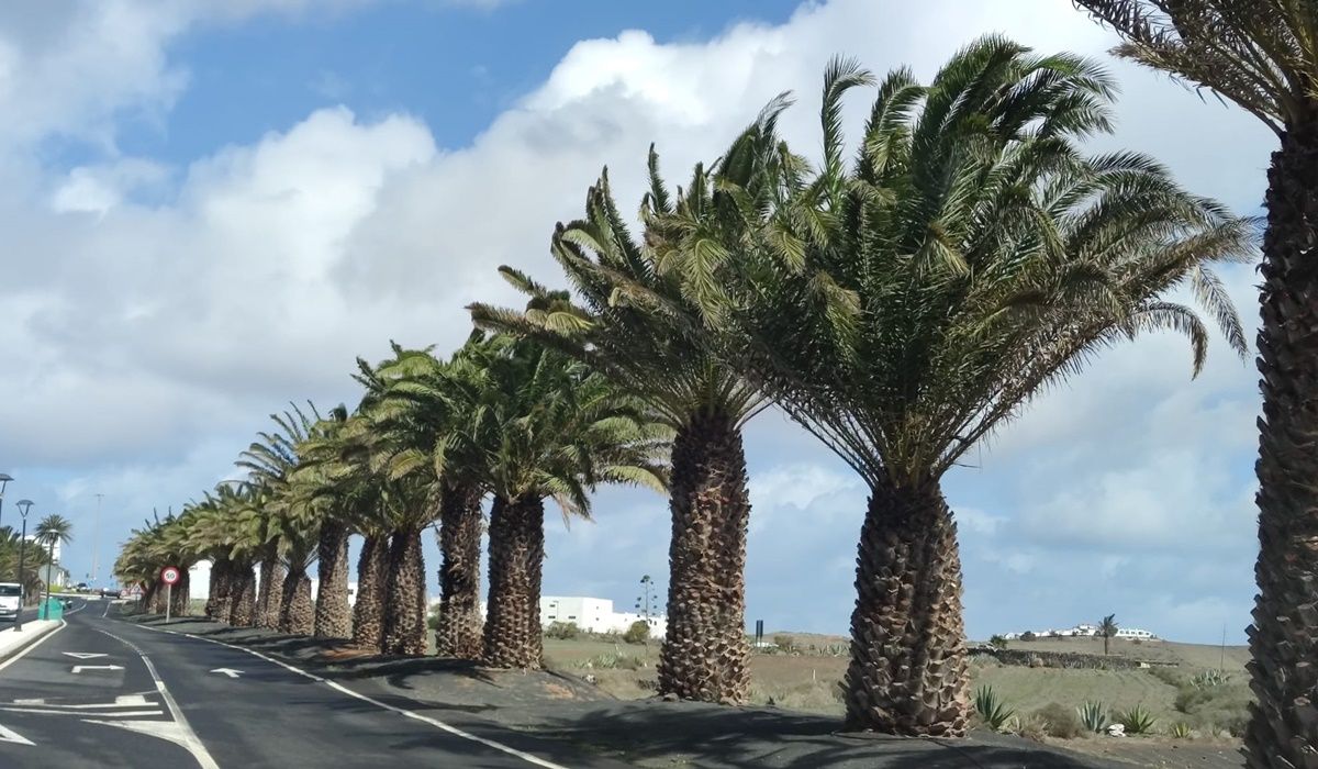 Imagen del viento en San Bartolomé