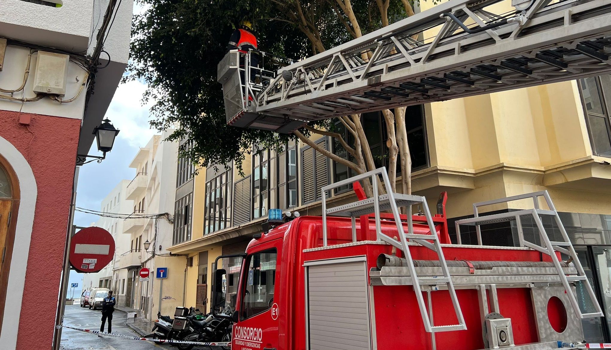 Los bomberos intervienen ante la caída de unas placas sobre un árbol en Arrecife