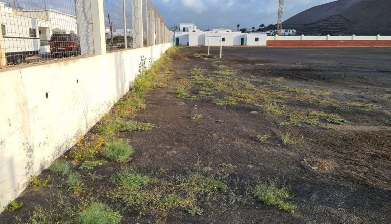 Estado de abandono del campo de fútbol de Guatiza