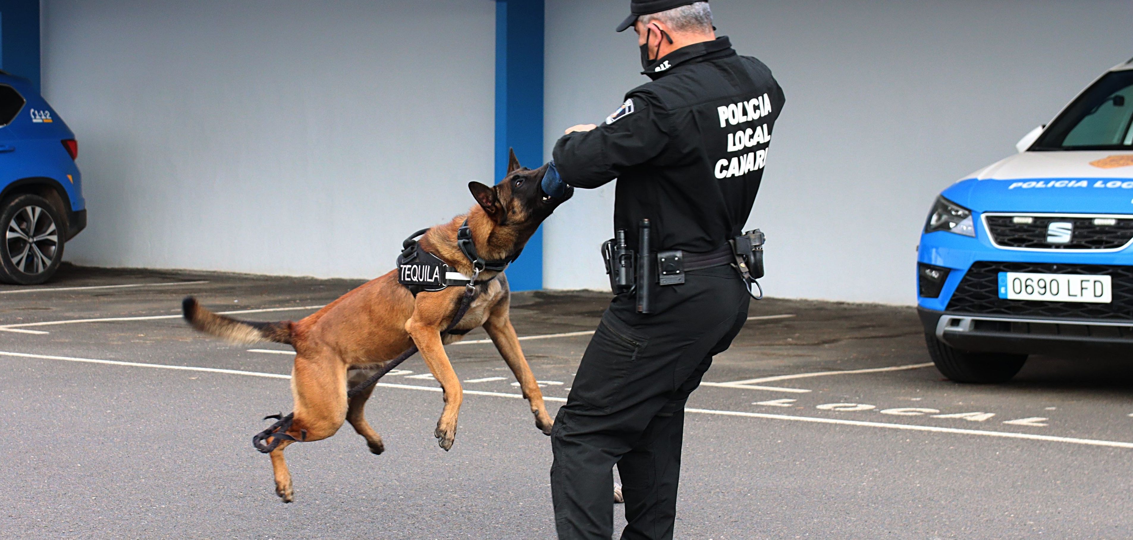 Teguila, el perro policía de Tías