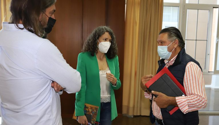 Mesa Insular de Energia (11) Mesa Insular de Energia (11)