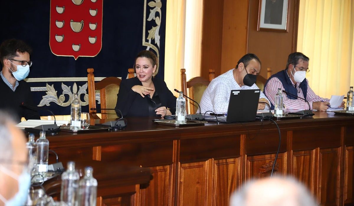 Reunión entre Cabildo y ayuntamientos sobre el PROAC
