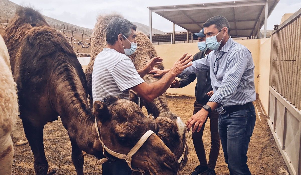 Oswaldo Betancort con los camelleros