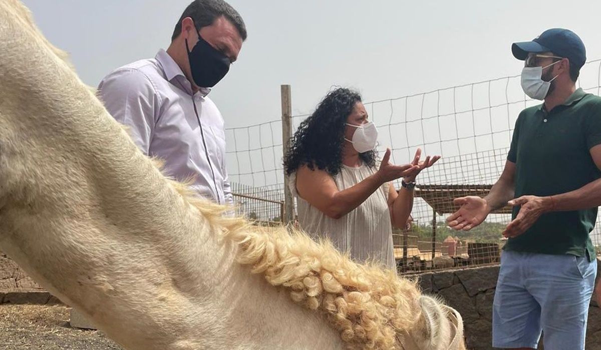 Visita del Ayuntamiento al sector camellar