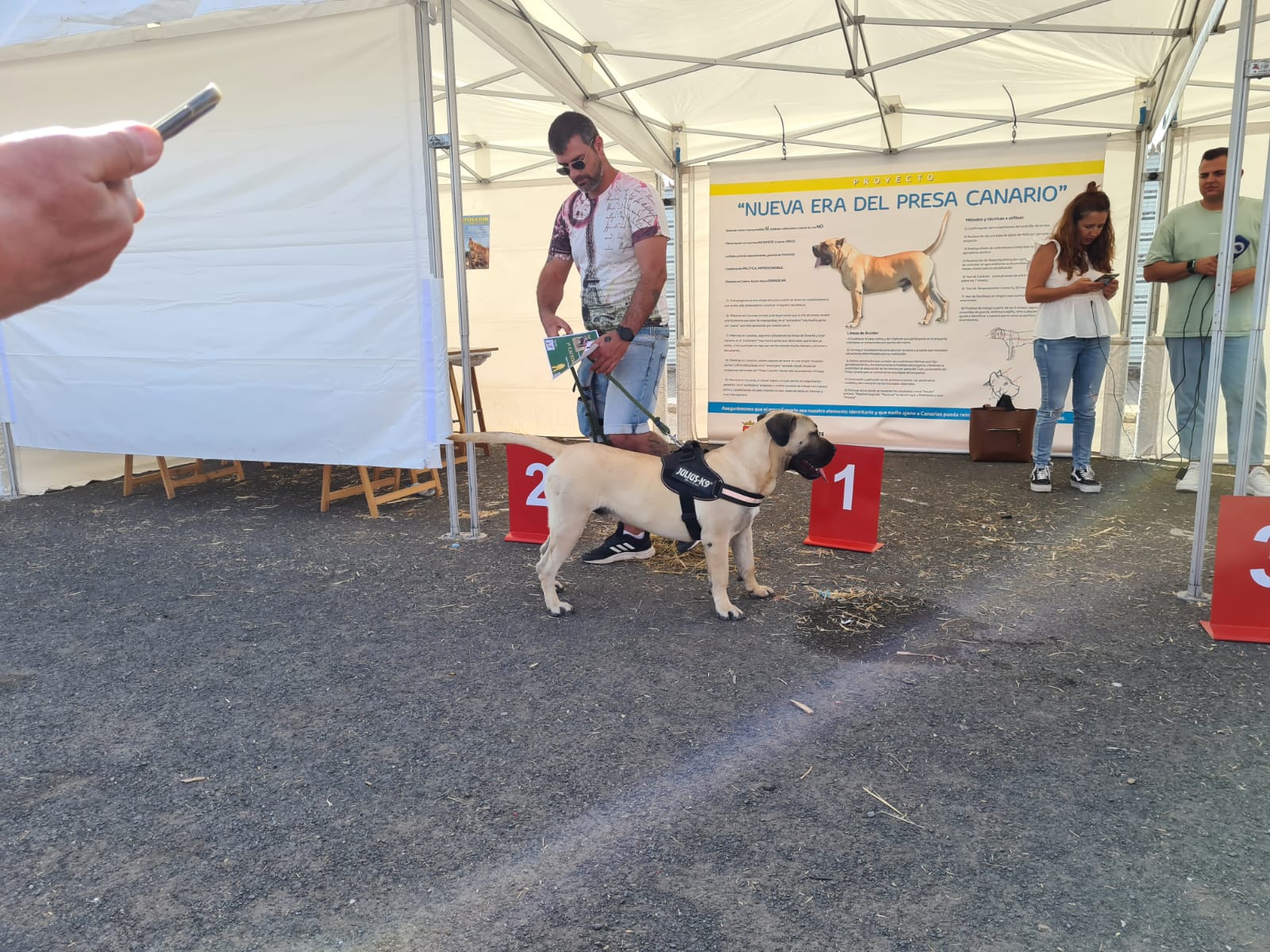 Encuentro monográfico del Presa Canario 