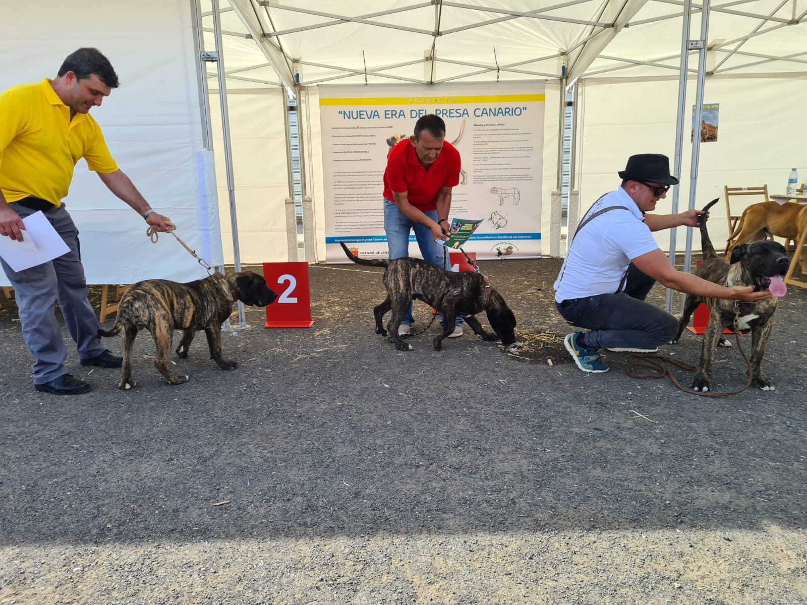 Encuentro monográfico del Presa Canario 