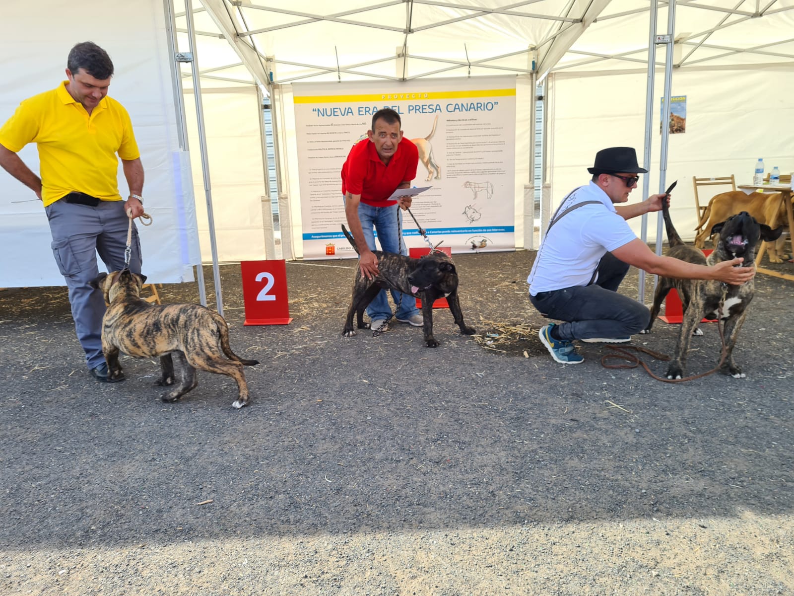 Encuentro monográfico del Presa Canario 
