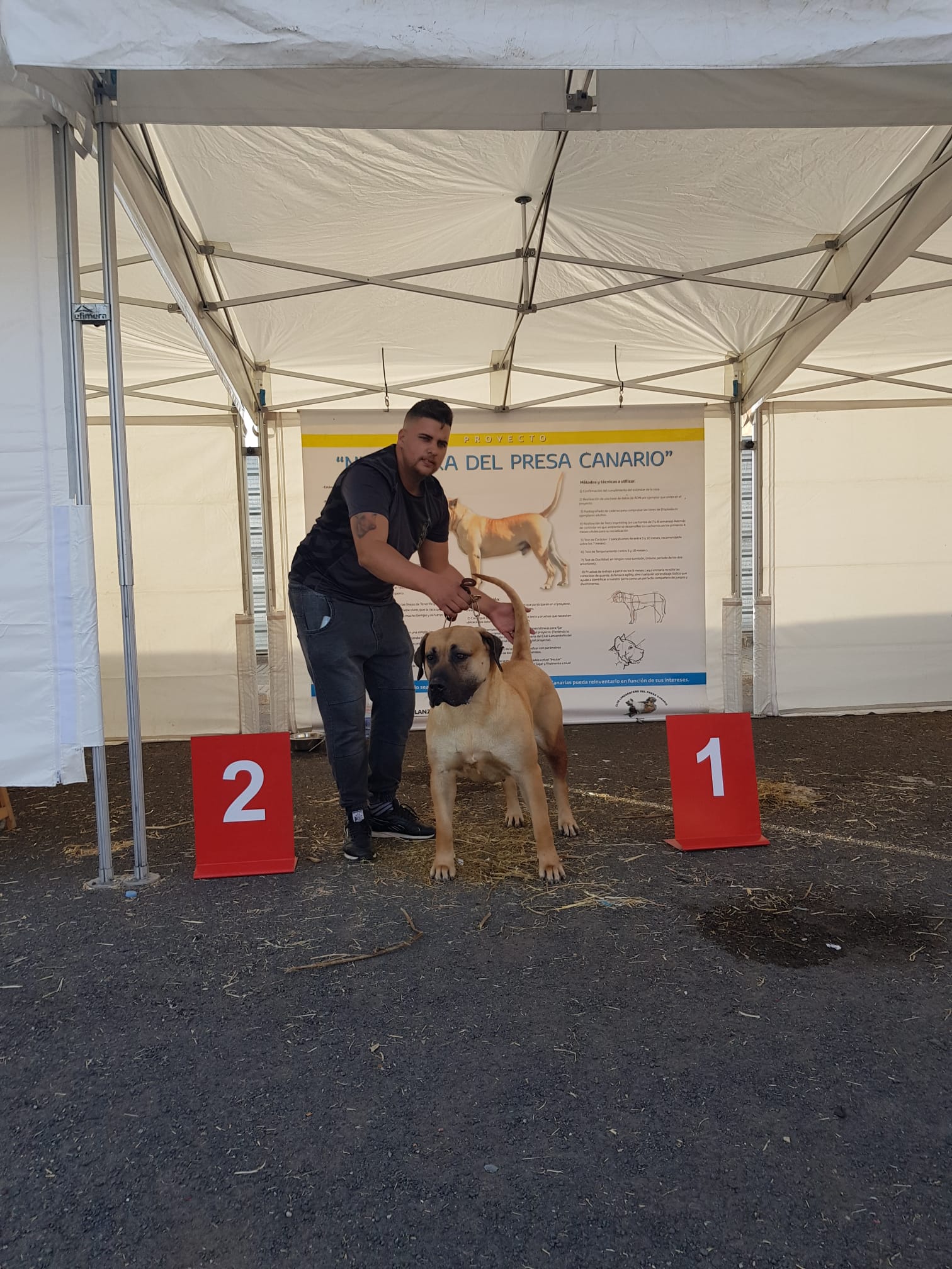 Encuentro monográfico del Presa Canario 