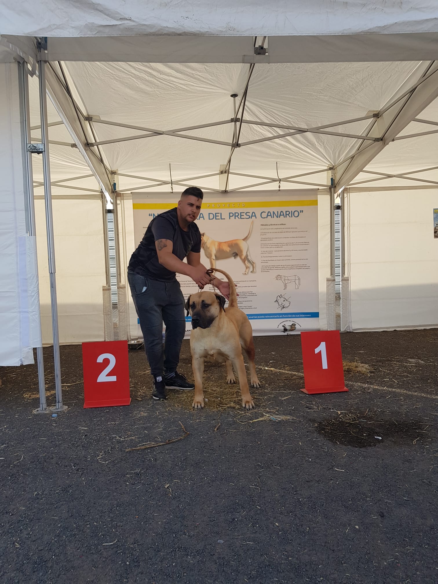 Encuentro monográfico del Presa Canario 