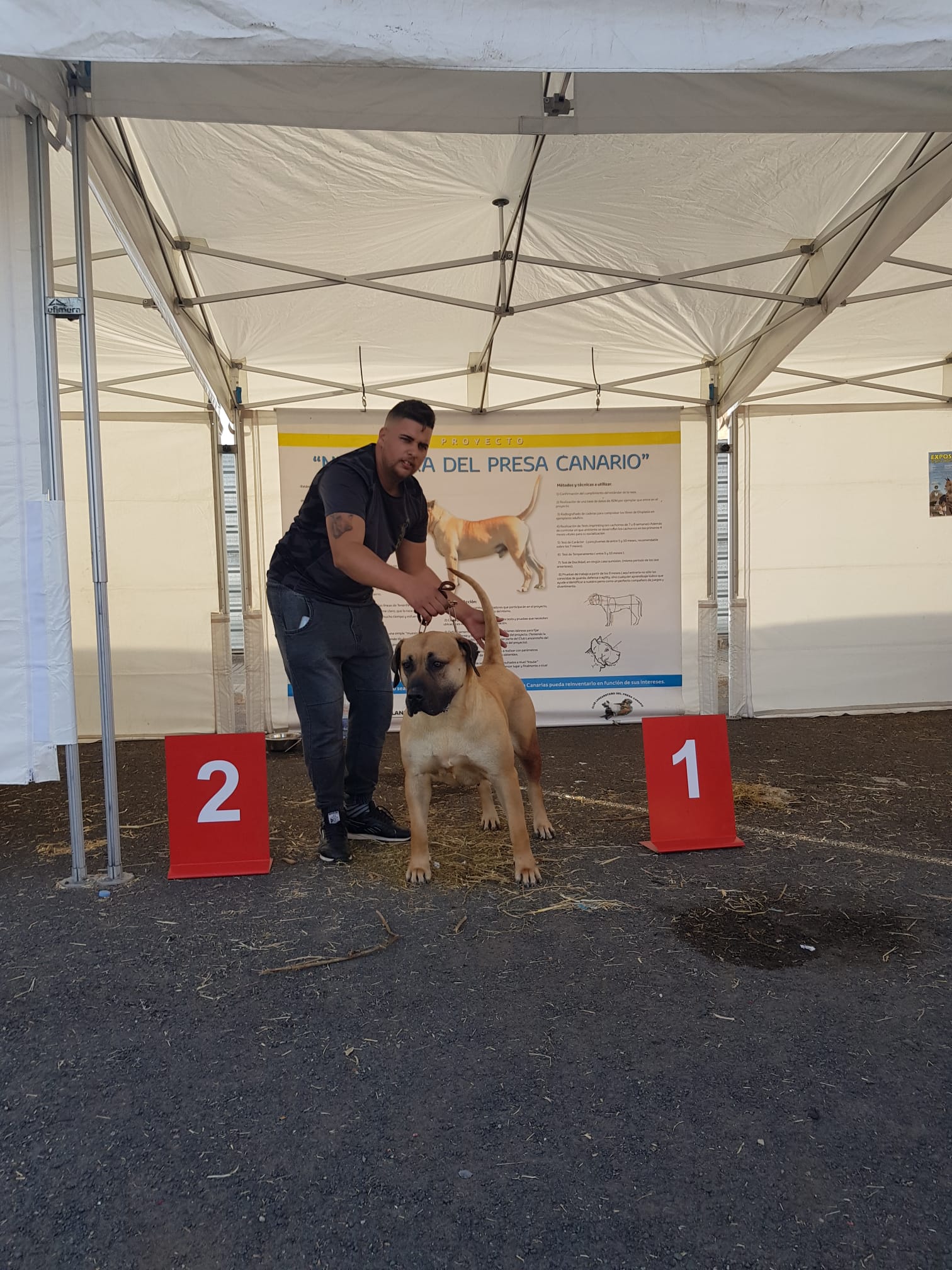Encuentro monográfico del Presa Canario 