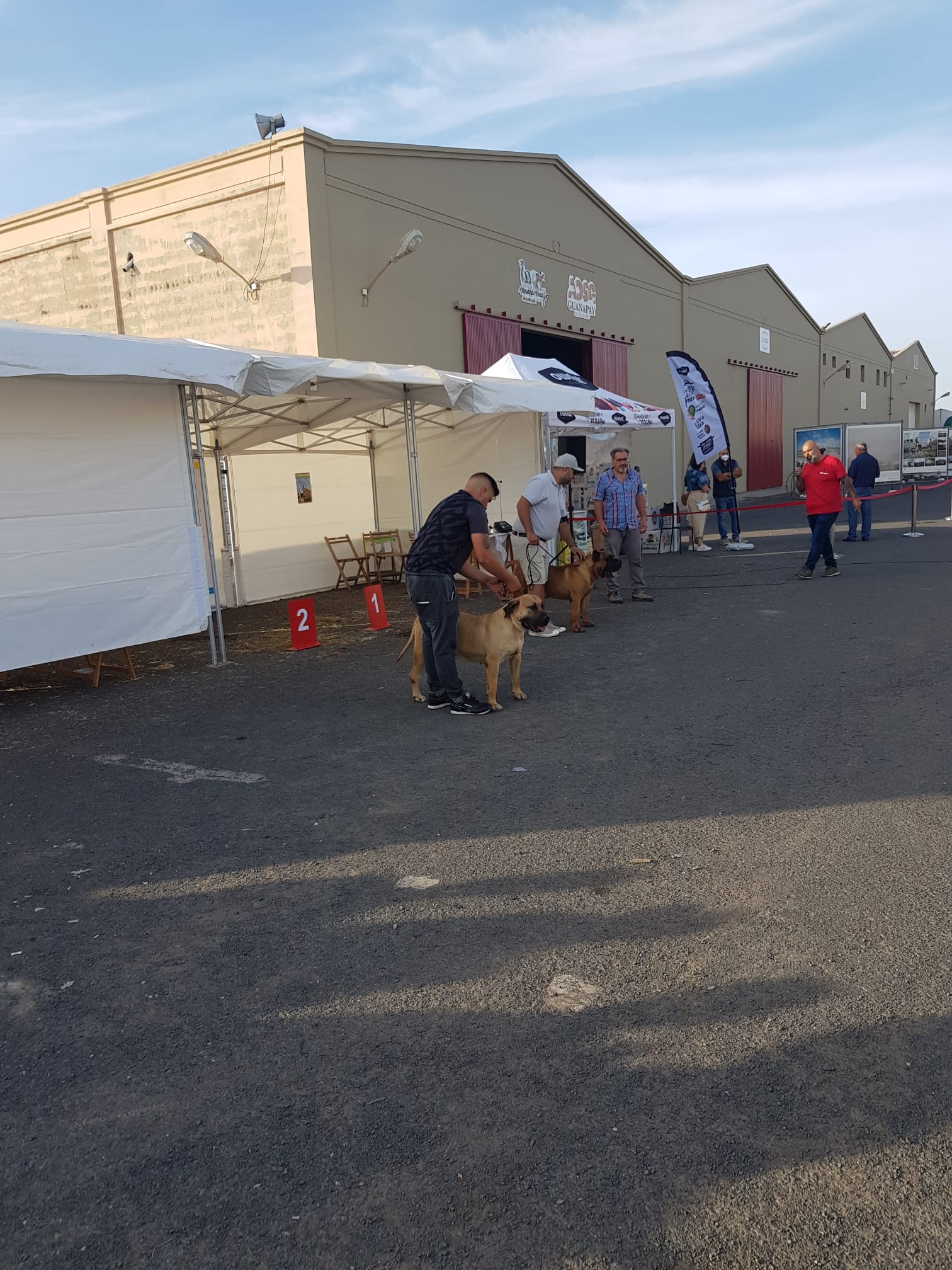 Encuentro monográfico del Presa Canario 