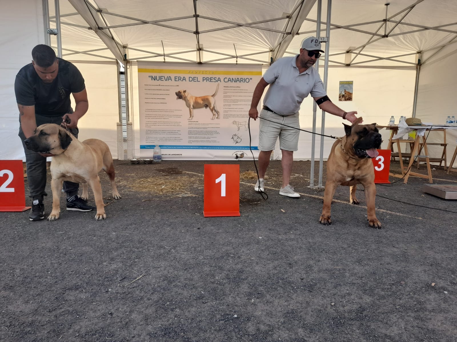 Encuentro monográfico del Presa Canario 