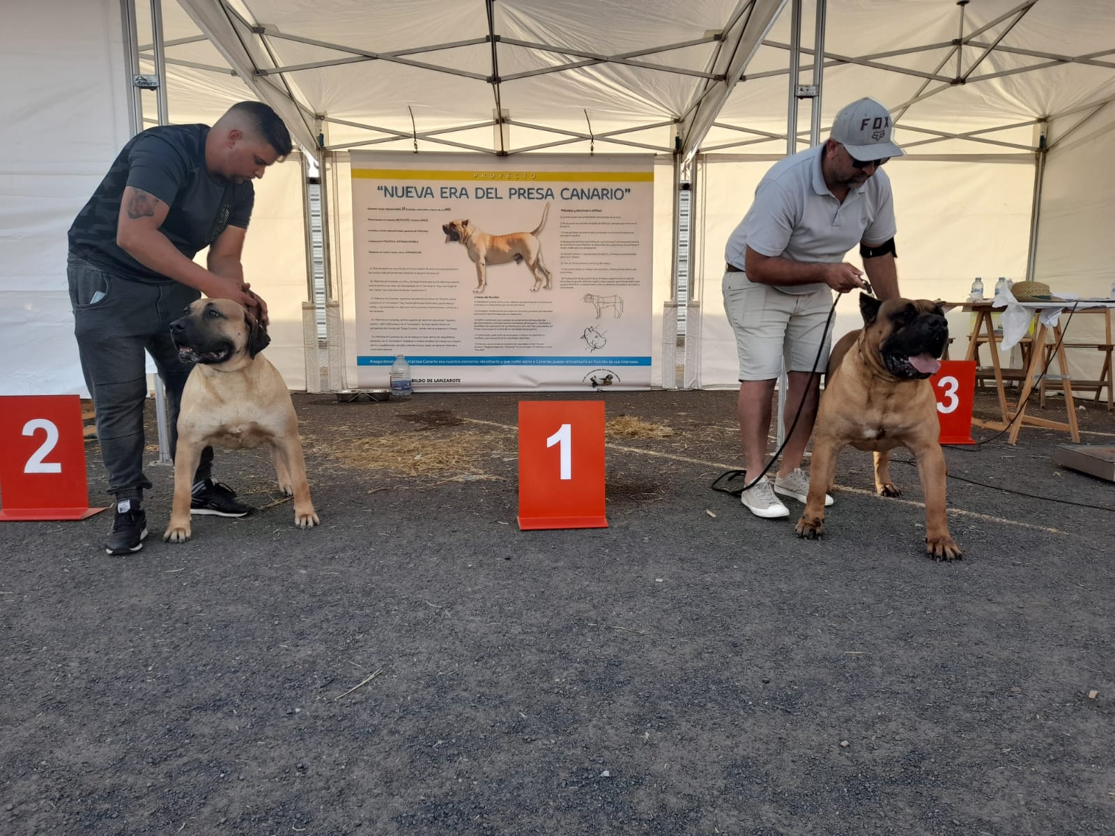 Encuentro monográfico del Presa Canario 