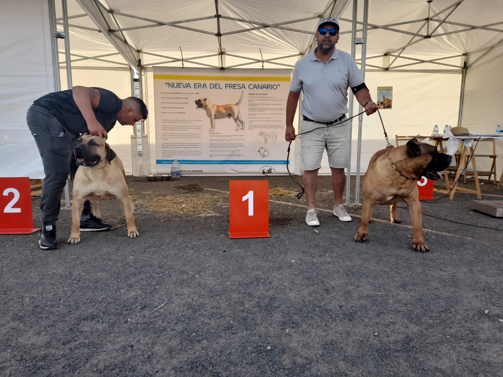 Encuentro monográfico del Presa Canario 