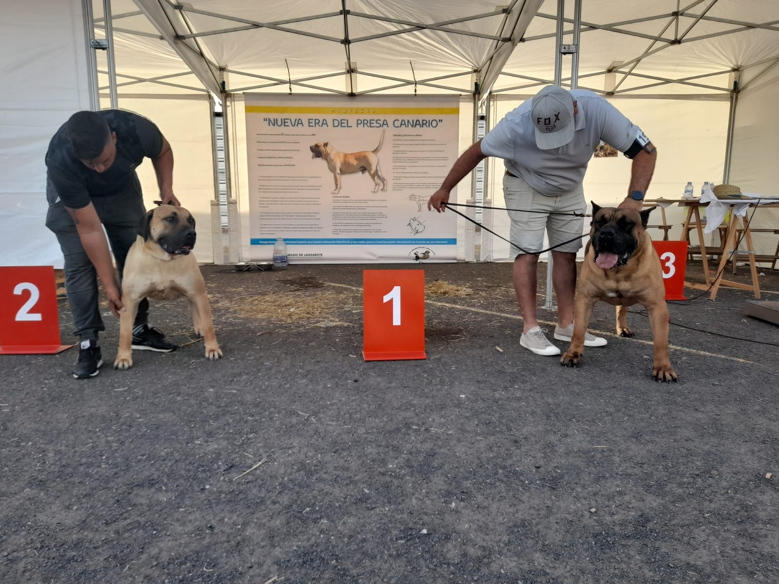 Encuentro monográfico del Presa Canario 