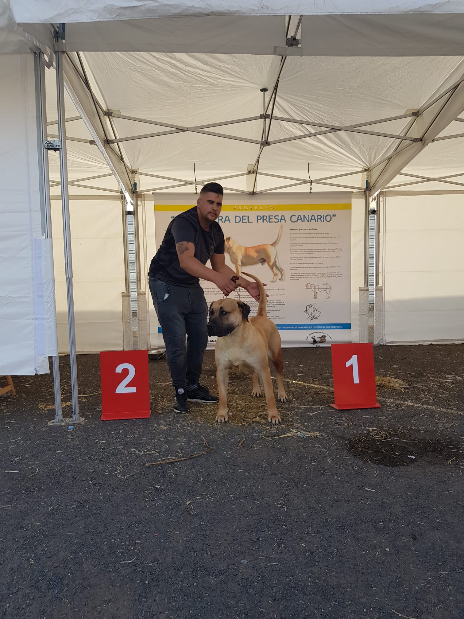 Encuentro monográfico del Presa Canario 