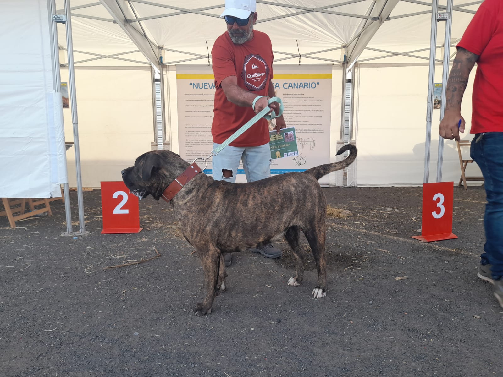 Encuentro monográfico del Presa Canario 