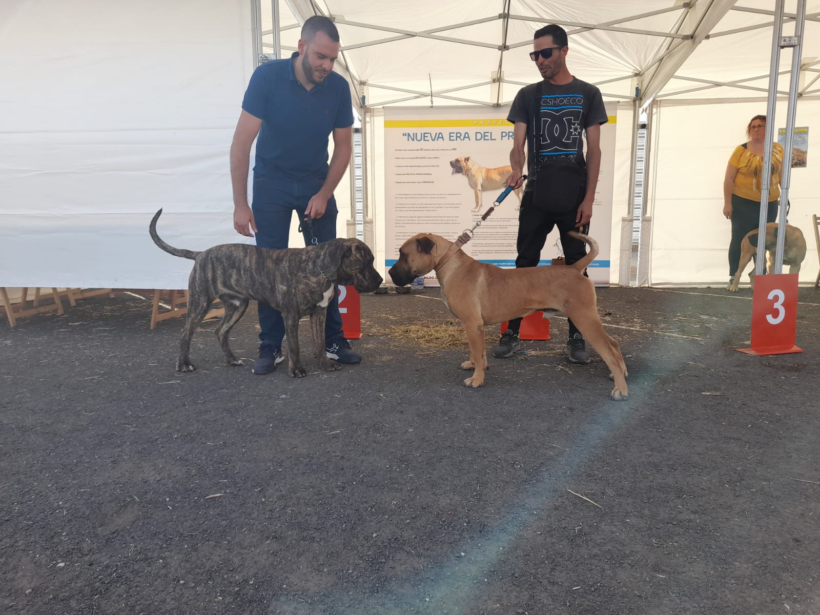 Encuentro monográfico del Presa Canario 