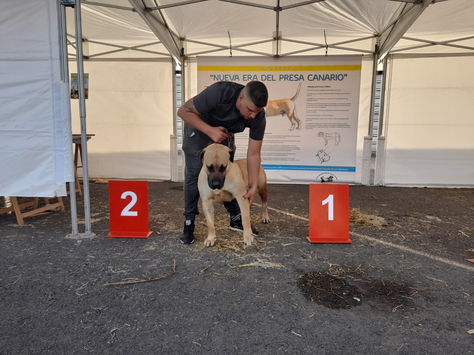 Encuentro monográfico del Presa Canario 