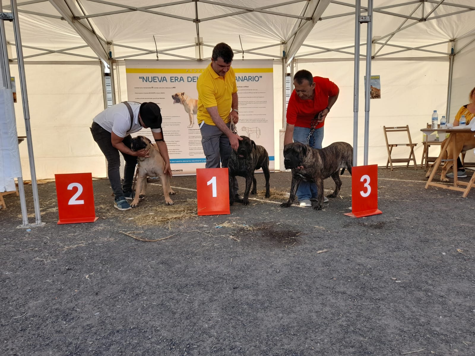 Encuentro monográfico del Presa Canario 