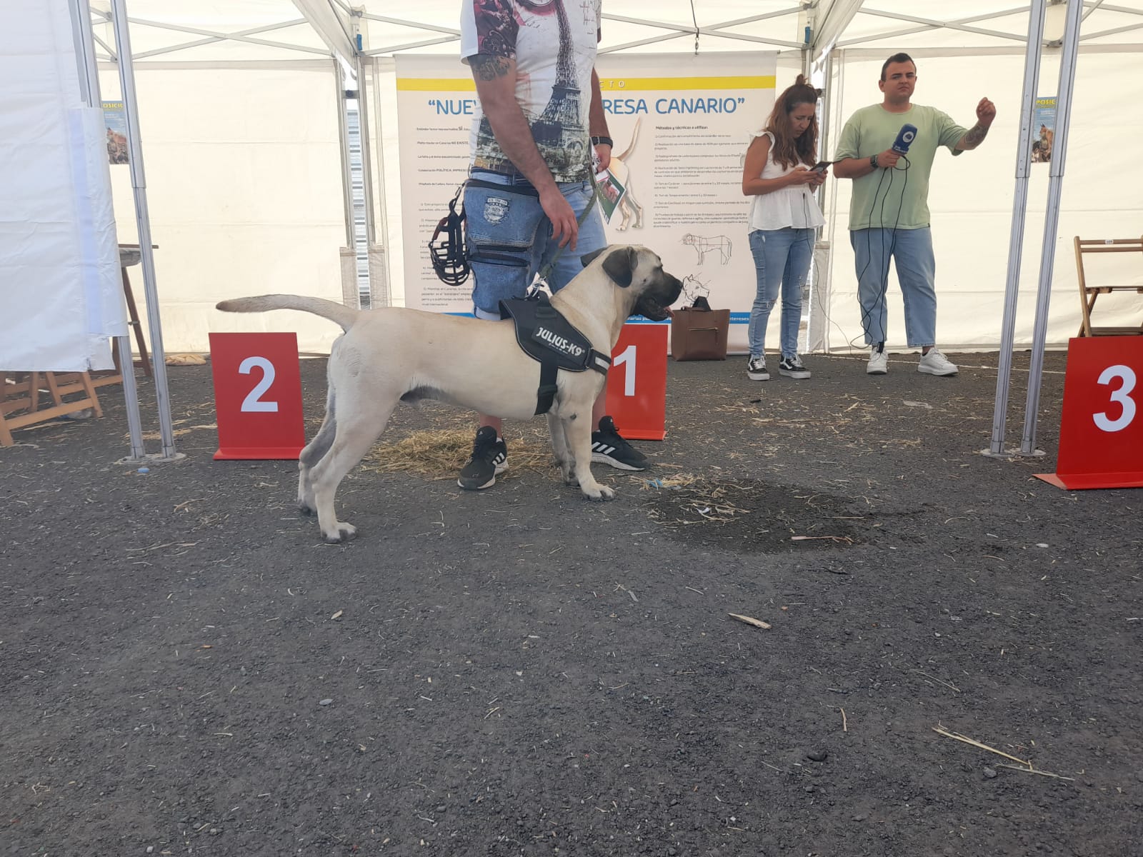 Encuentro monográfico del Presa Canario 