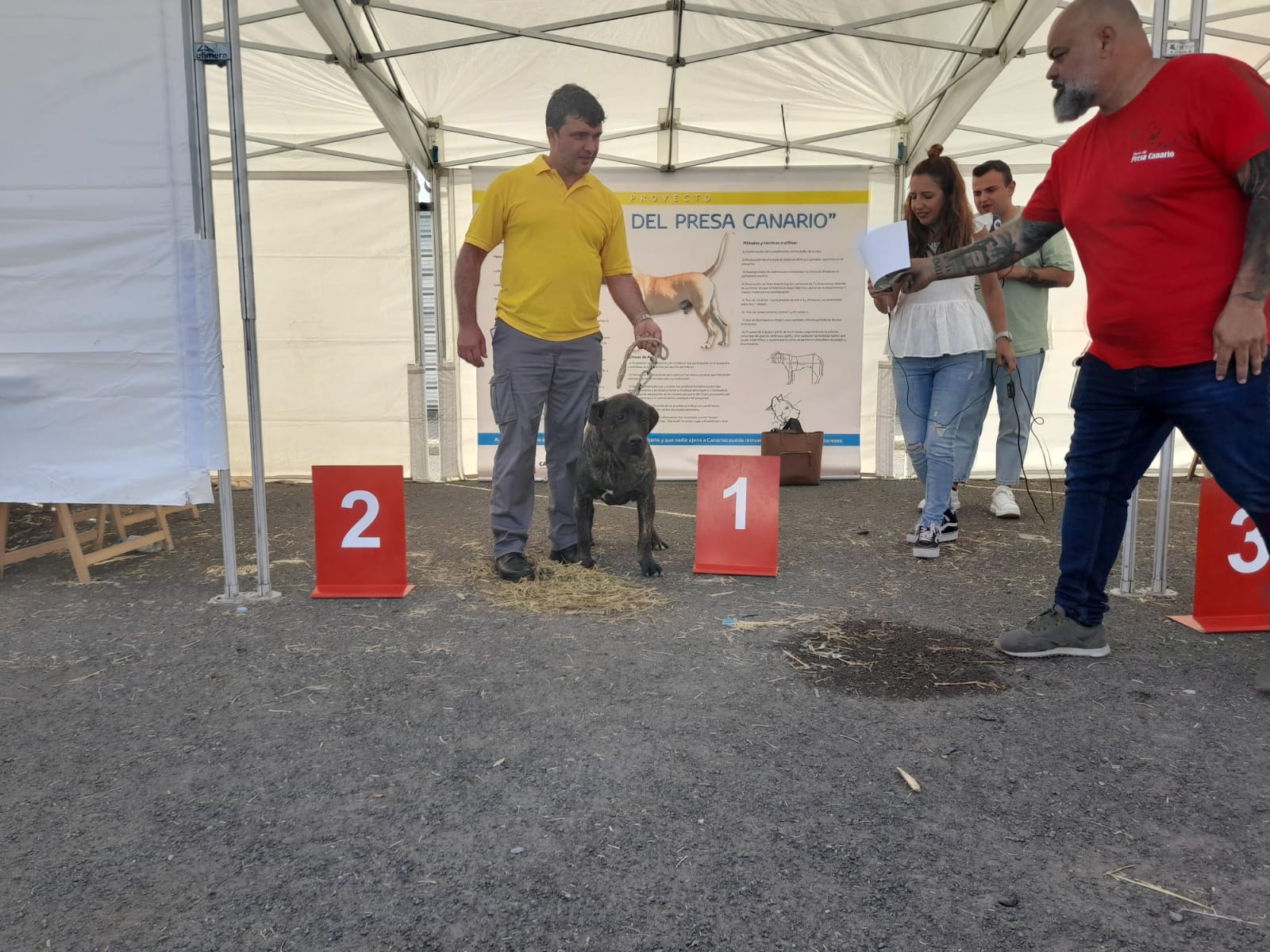 Encuentro monográfico del Presa Canario 