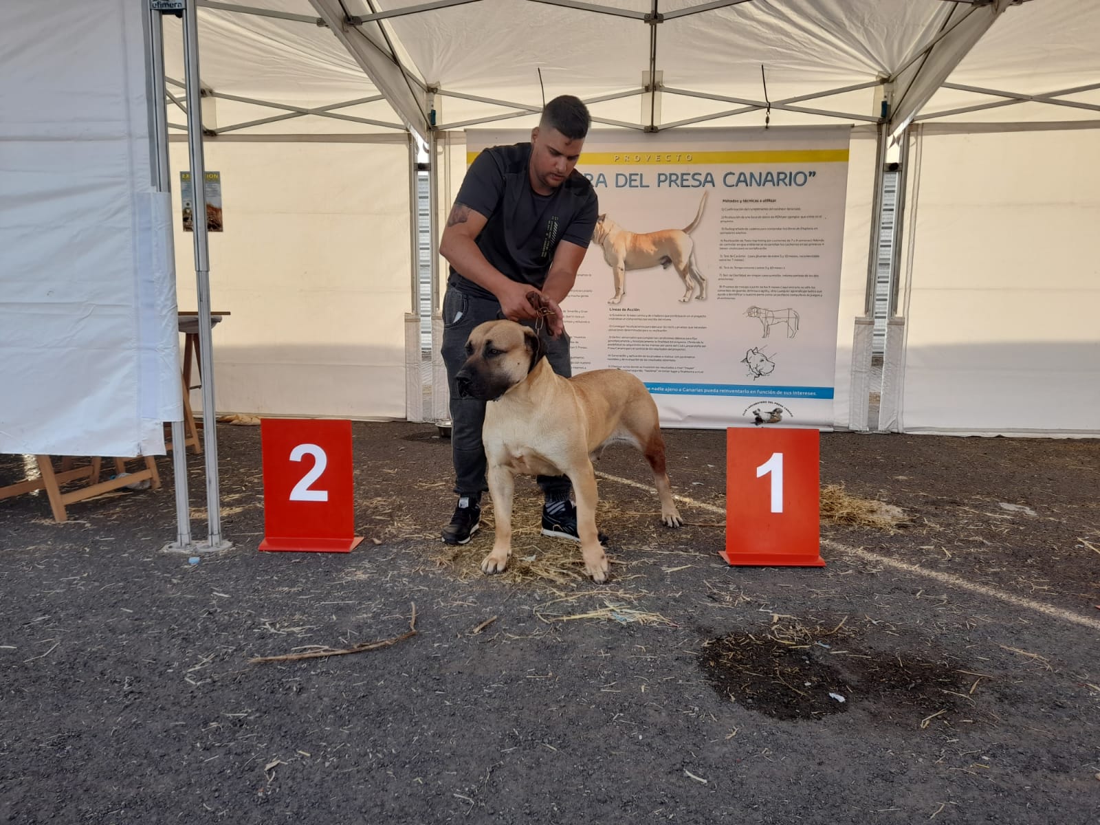 Encuentro monográfico del Presa Canario 