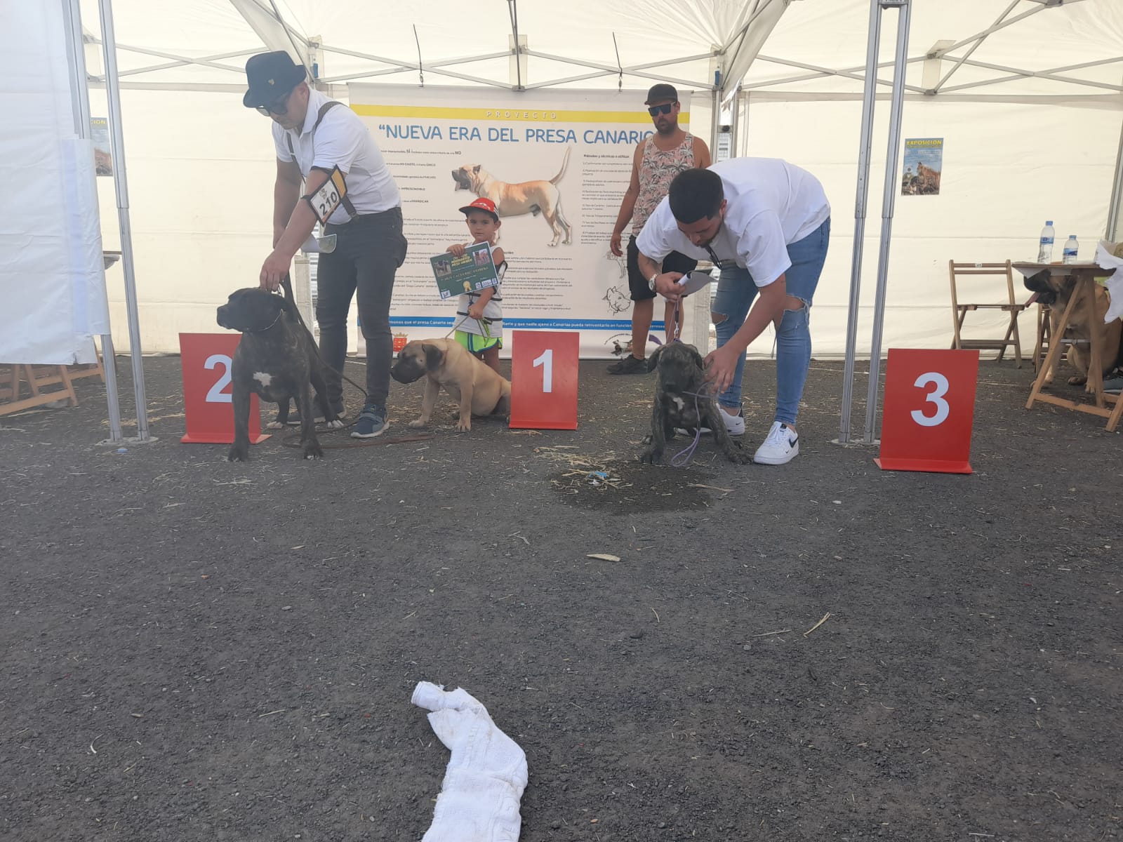 Encuentro monográfico del Presa Canario 