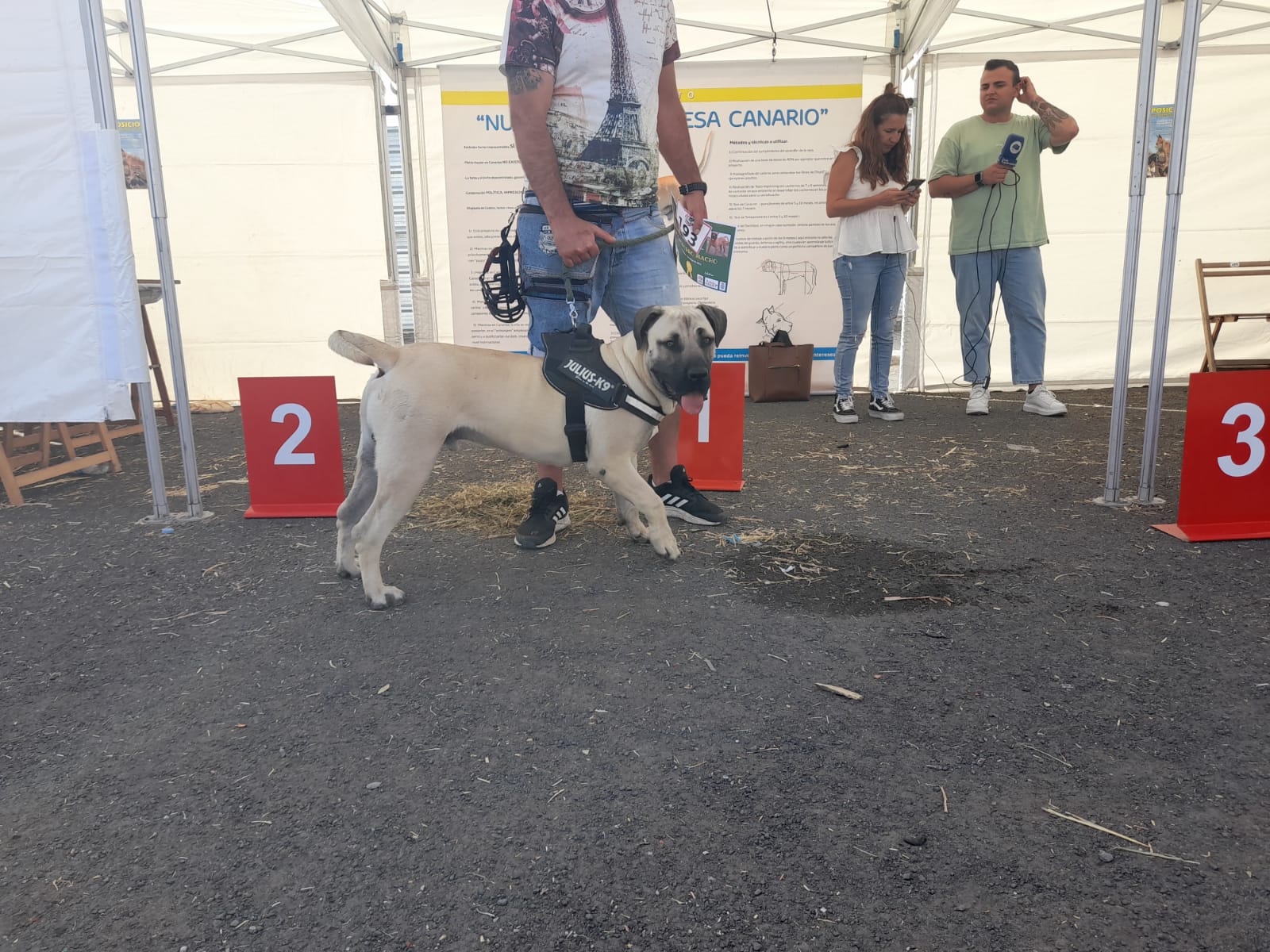 Encuentro monográfico del Presa Canario 