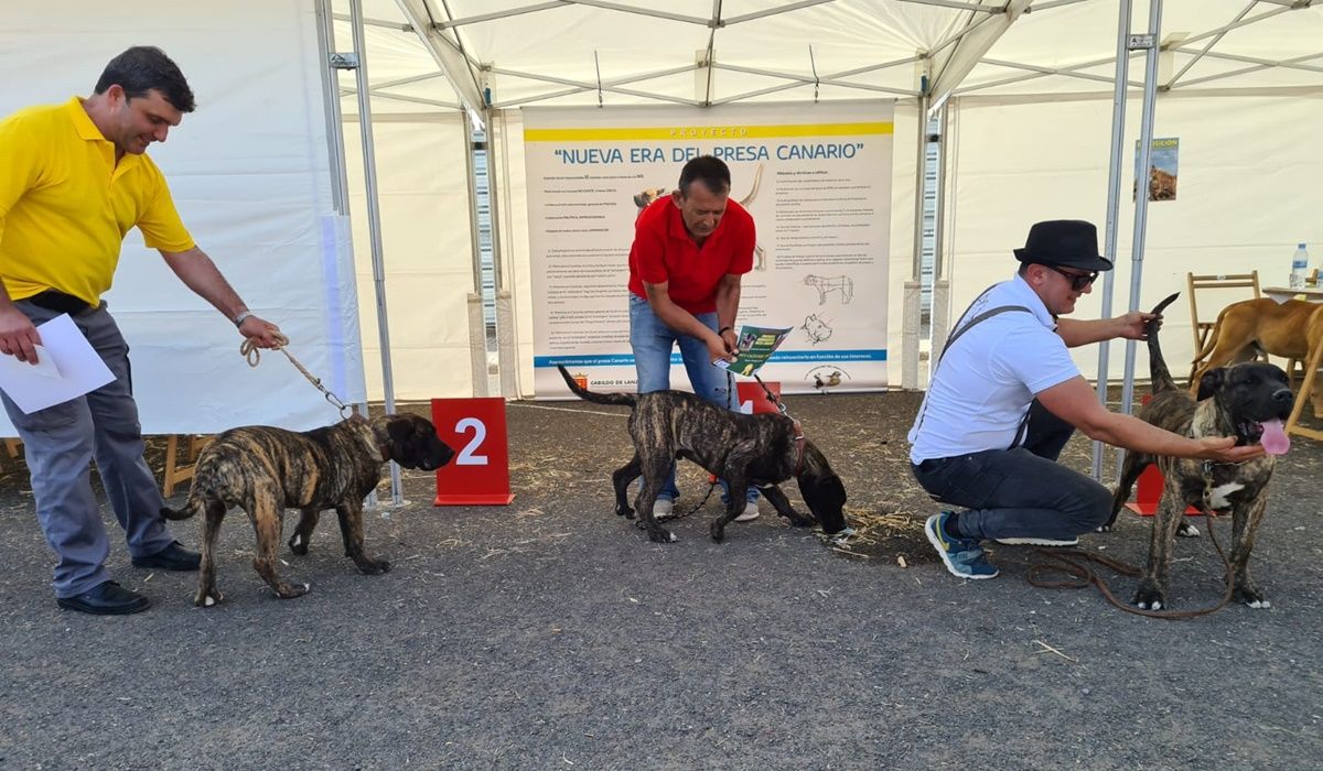 Encuentro del Presa Canario