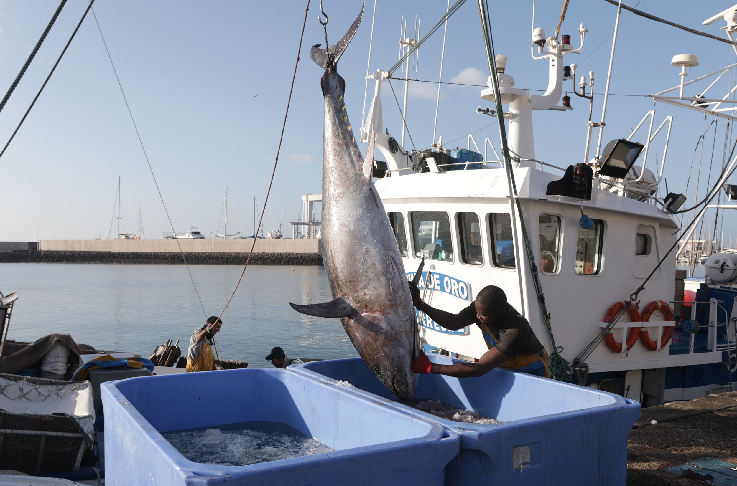 Barco atunero en Puerto Naos