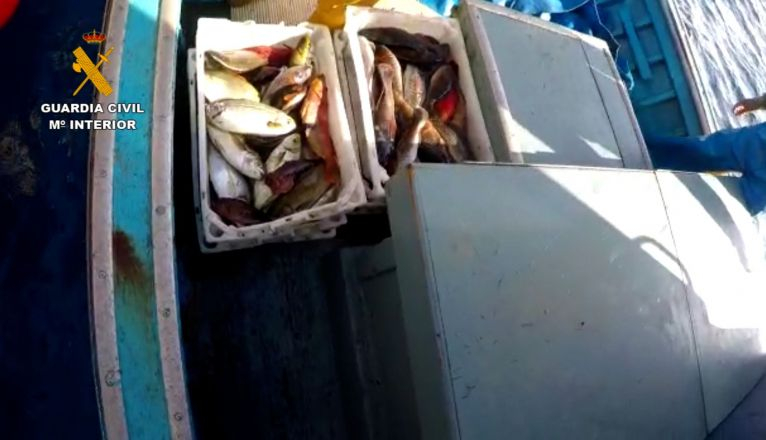 pesca furtiva las palmas editada.00 02 07 00.Imagen fija002 pesca furtiva las palmas editada.00 02 07 00.Imagen fija002