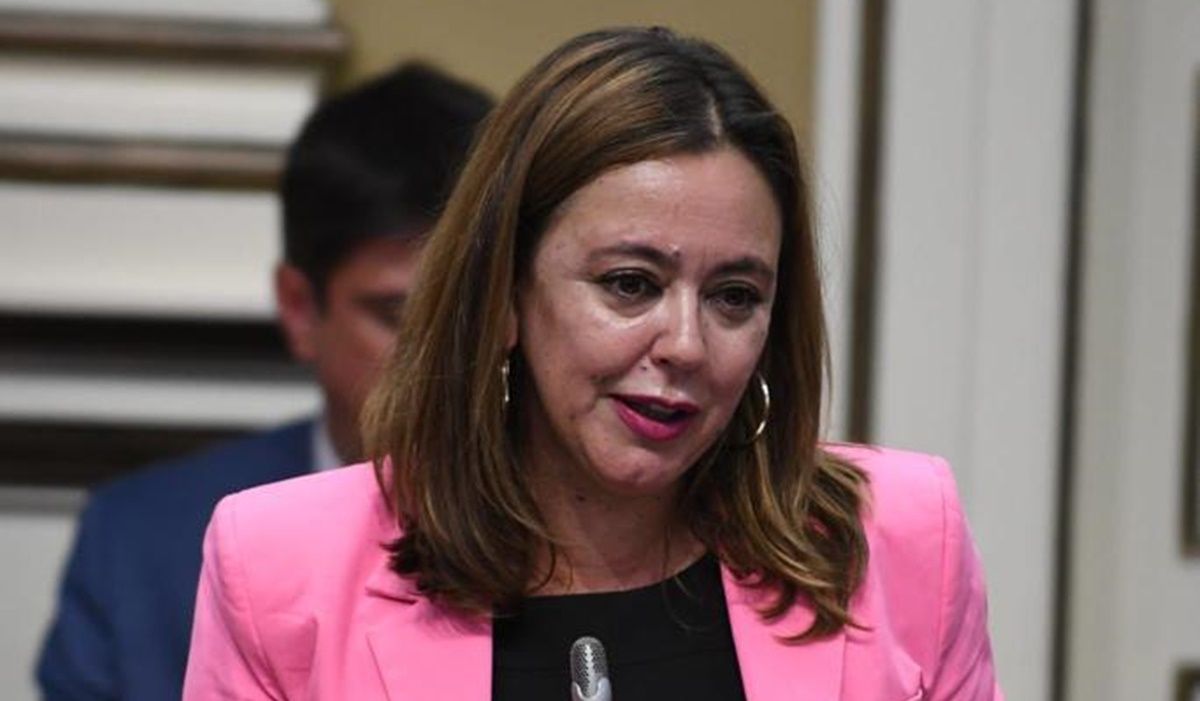María Dolores Corujo en el pleno del Parlamento