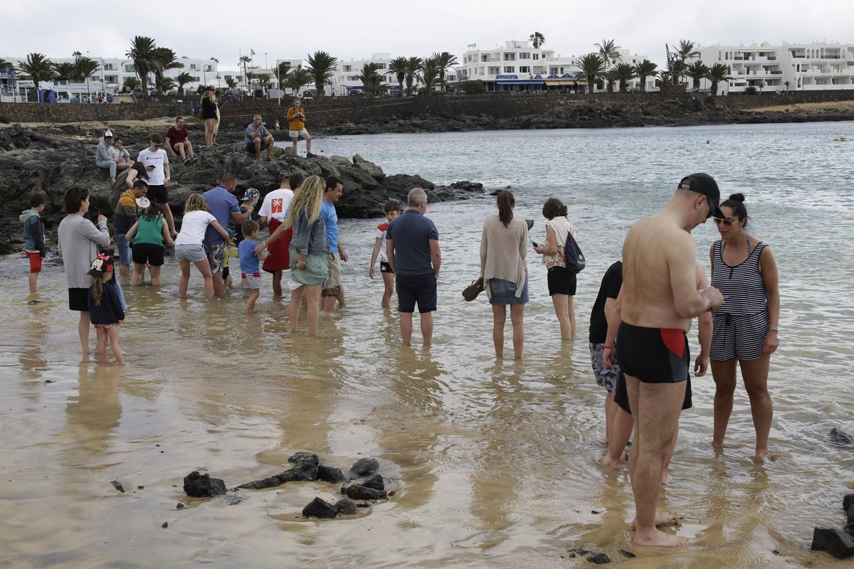 Turistas bañándose en la playa del Jablillo de  Costa Teguise