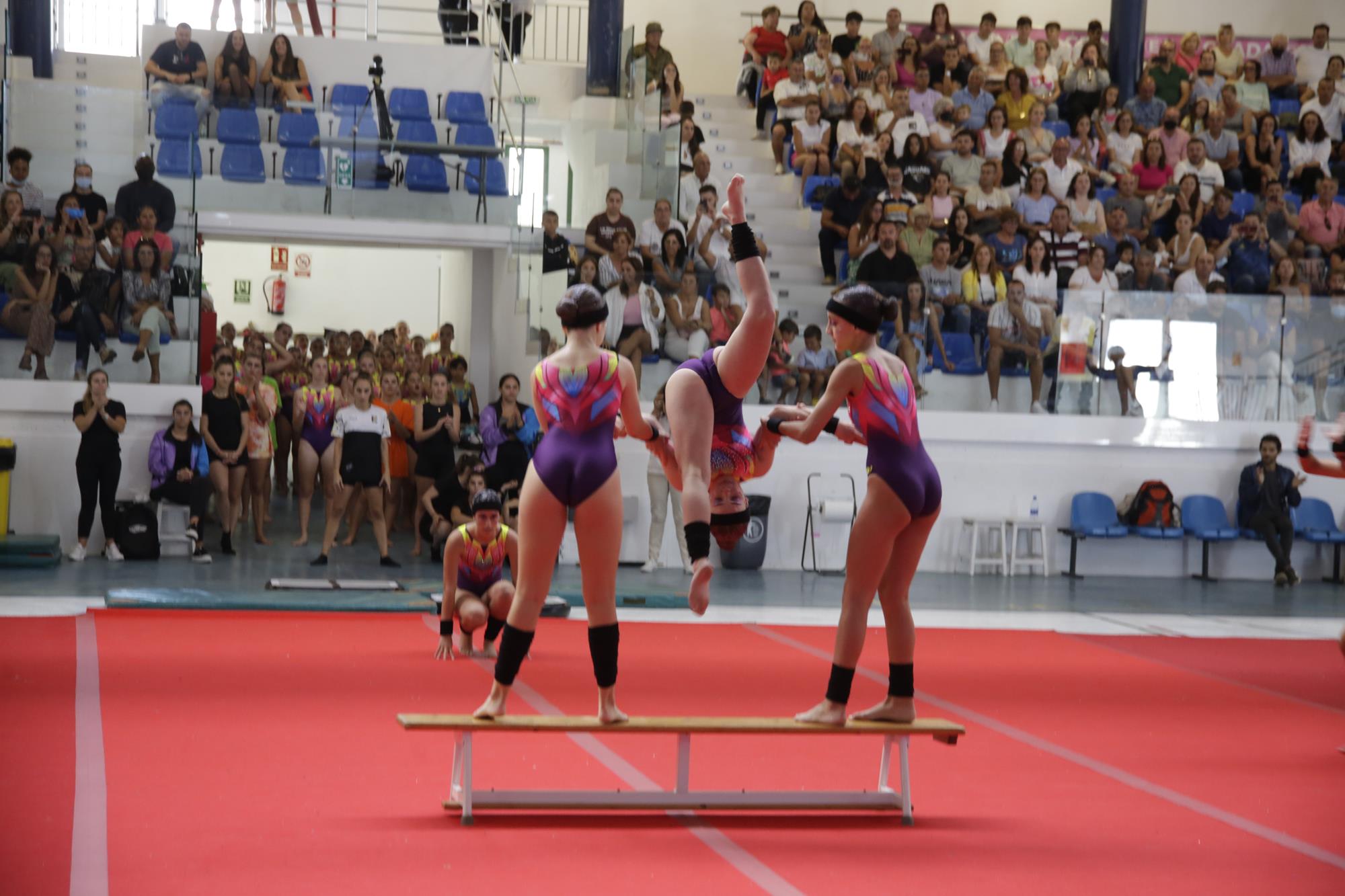 Festival de gimnasia del club Tigotán Festival de gimnasia del club Tigotán