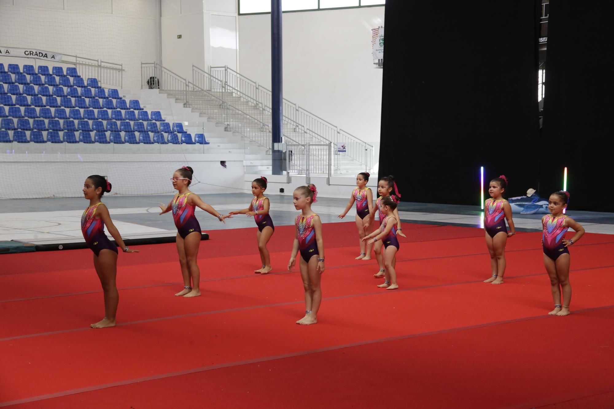 Festival de gimnasia del club Tigotán Festival de gimnasia del club Tigotán