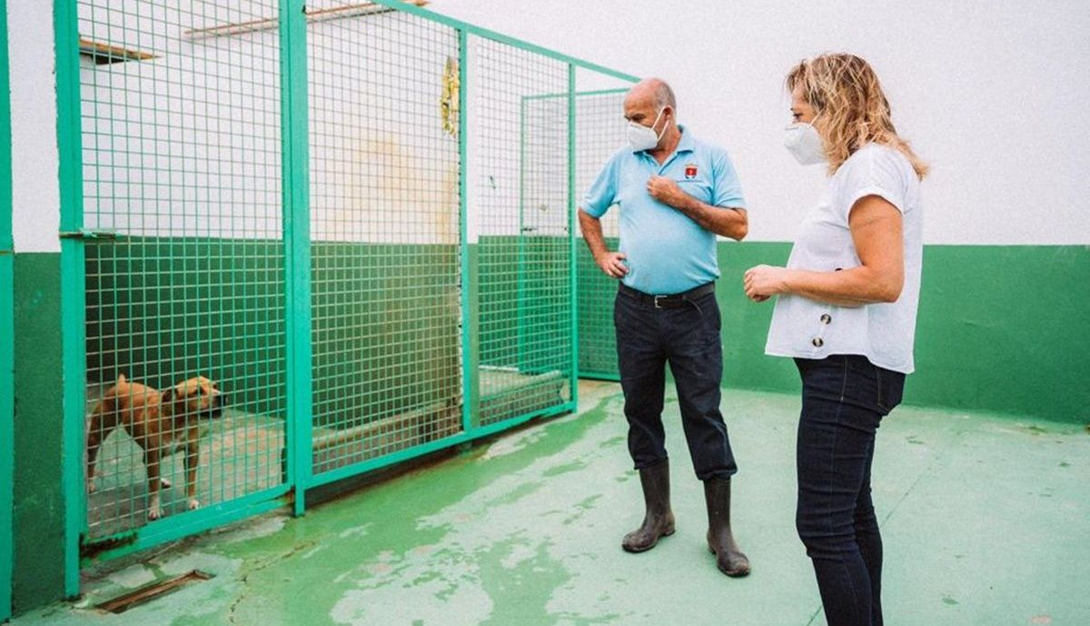 Arrecife saca a licitación la gestión del Centro de Protección Animal Arrecife saca a licitación la gestión del Centro de Protección Animal