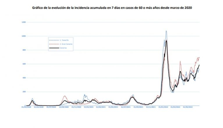 Gráfico de la incidencia en mayores en Canarias