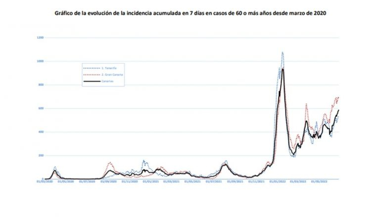 Gráfico de la incidencia en mayores en Canarias Gráfico de la incidencia en mayores en Canarias