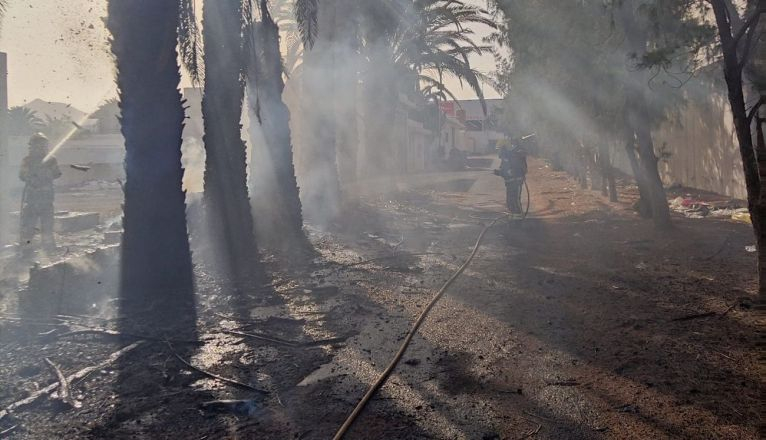 Los bomberos apagan el fuego de una palmera en Arrecife