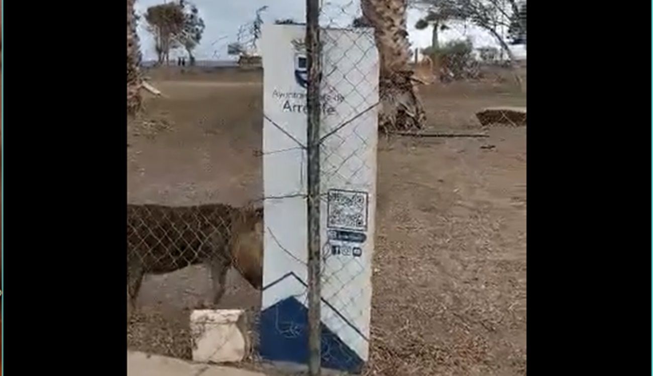 Denuncia el abandono del parque de perros