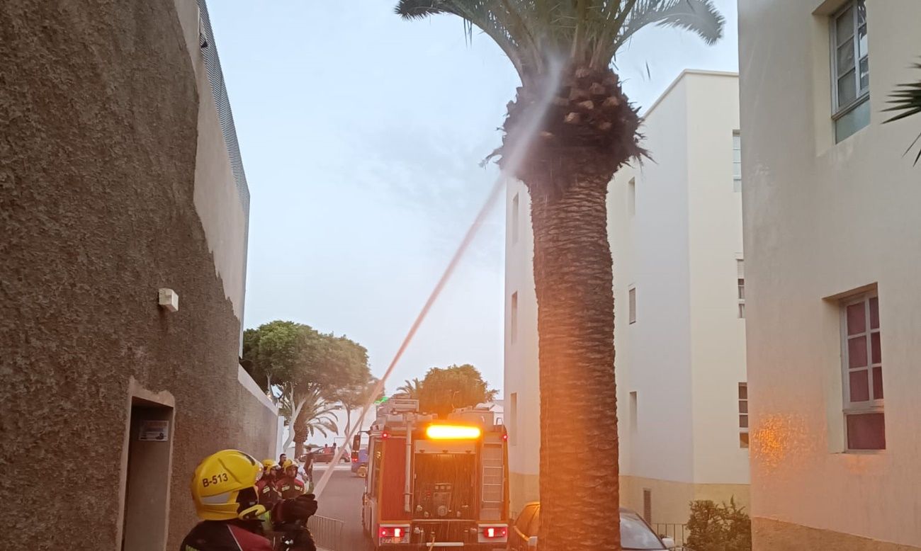 Incendio de una palmera en Los Alonso
