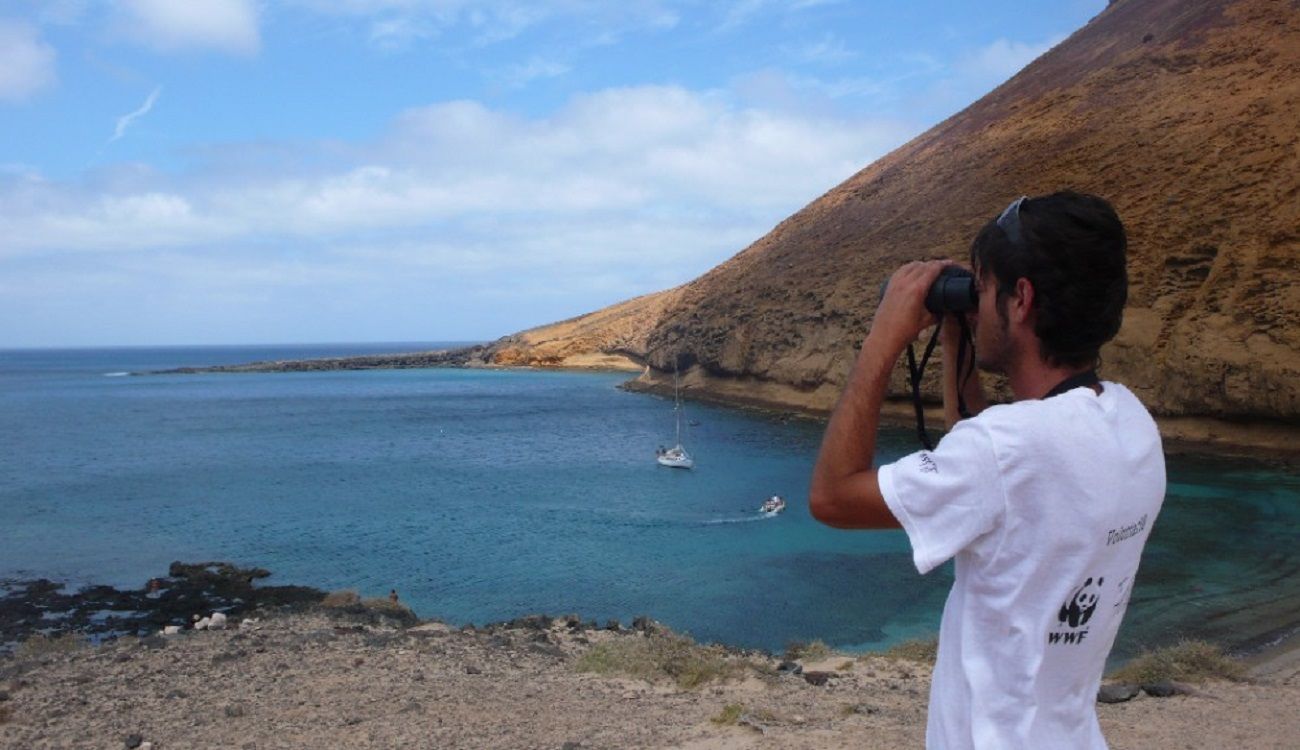 WWF en la playa de Montaña Amarilla en La Graciosa