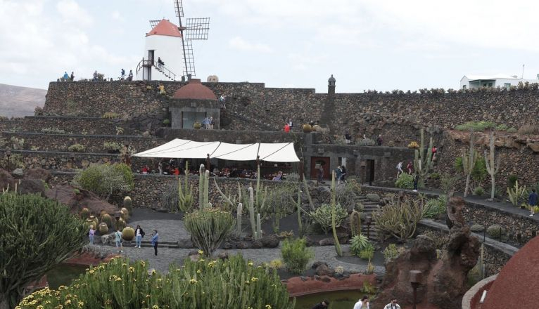 Jardín de Cactus