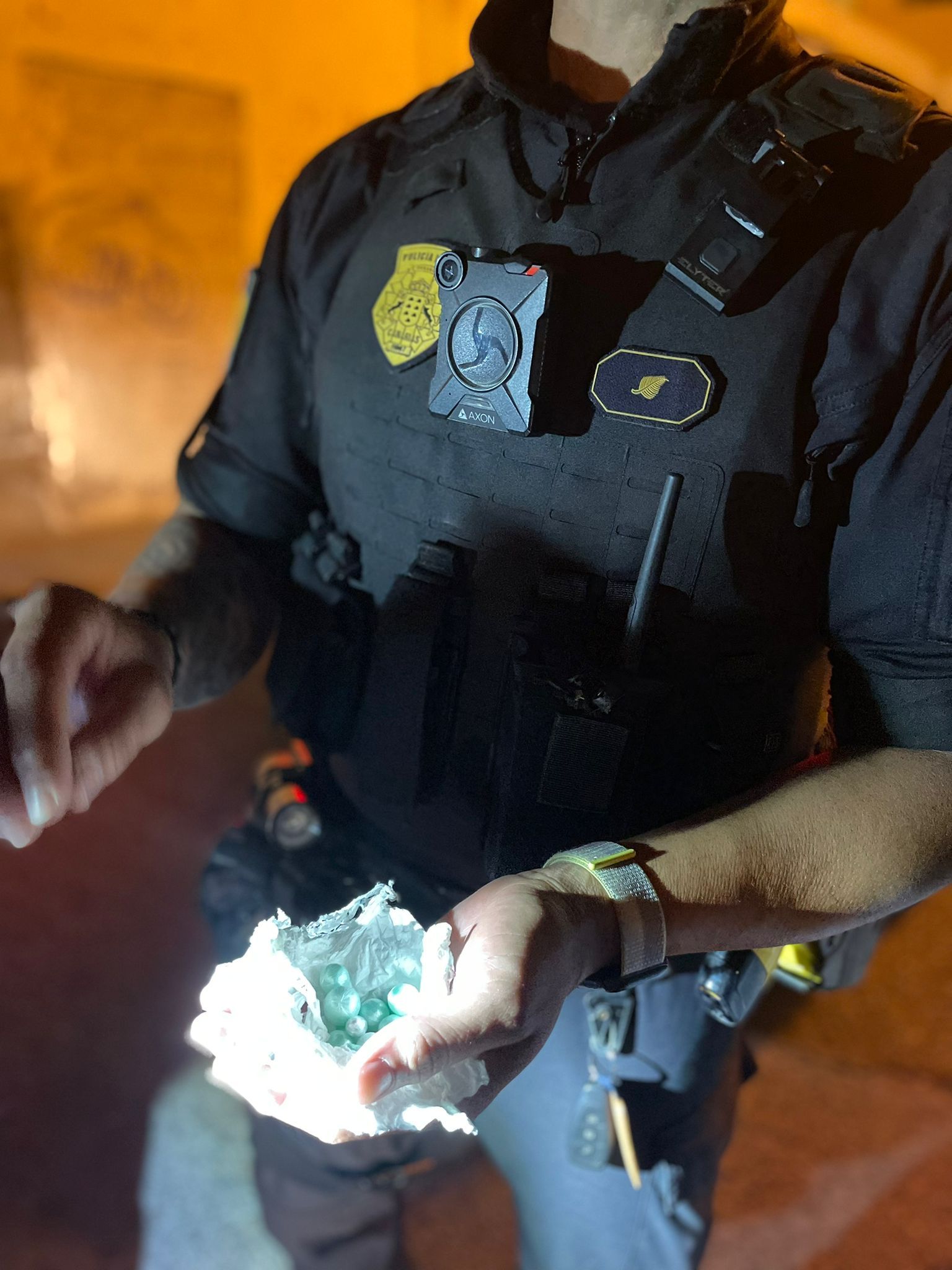 Imagen de la droga intervenida por la Policía Local de Arrecife