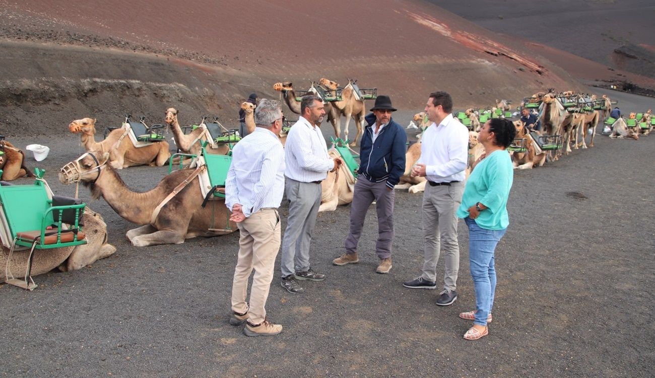 Visita a los camelleros