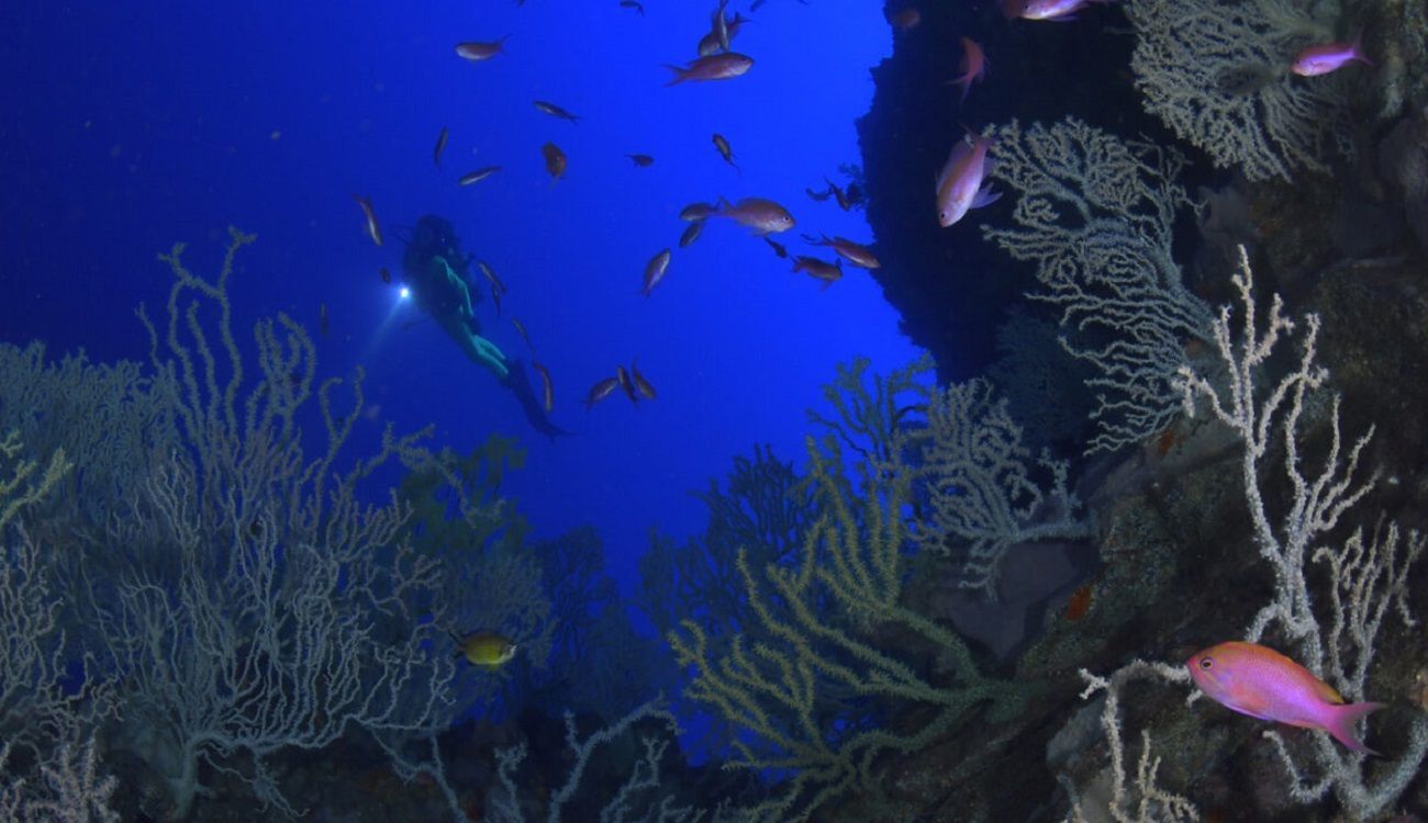 Diving in Lanzarote. Photo by Eladio Frias y Joana Pereira